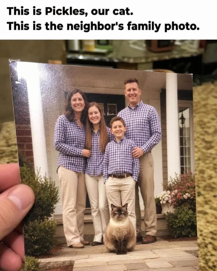 This is Pickles, our cat. This is the neighbor s family photo.