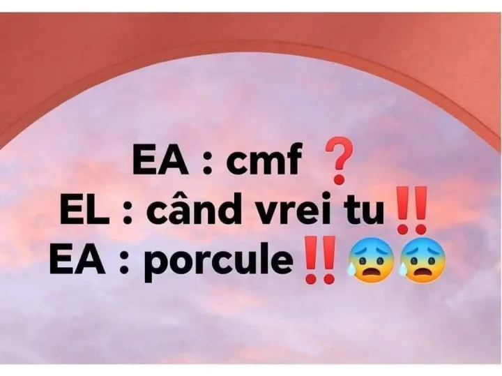 EA EA:cn cmf ? EL: :cand vrei tu !! EA porcule!! A:porcule!!0. e!!0