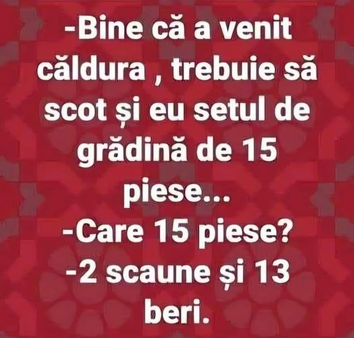 Bine ca a venit caldura, trebuie sa scot si eu setul de gradina de 15 piese... -Care 15 pie...