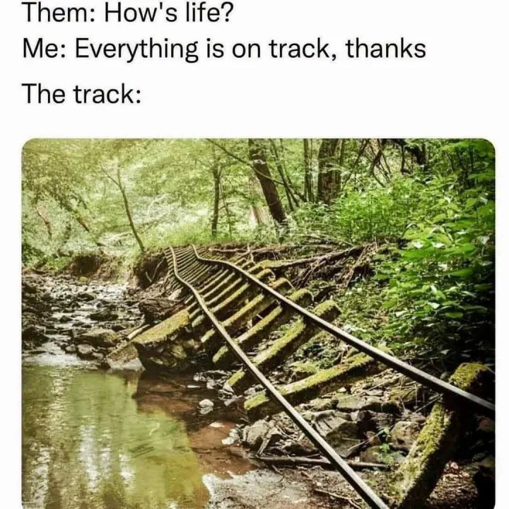 cu cale ferata si text Them: How s life? Me: Everything is on track, thanks The track: /17