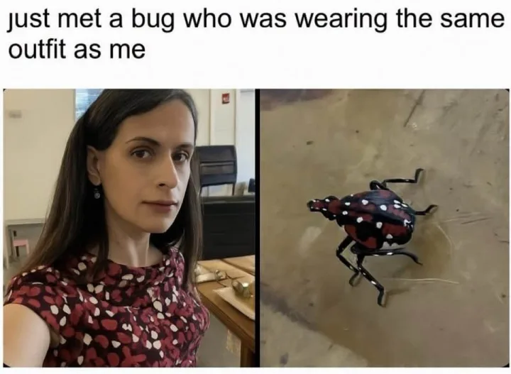 just met a bug who was wearing the same outfit as me