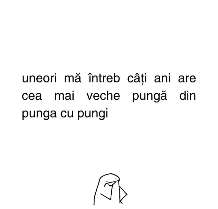 uneori cea ma intreb cati ani punga veche mai punga cu cu pungi are din