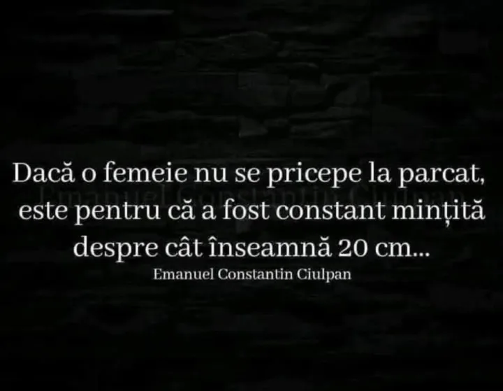 Daca o femeie nu se pricepe la parcat, este pentru ca a fost constant mintita despre cat in...