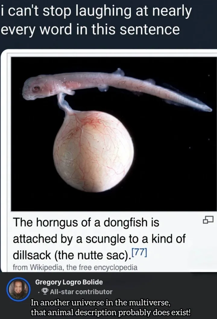 cu axolotl si text i can t stop laughing at nearly every word in this sentence The horngus...