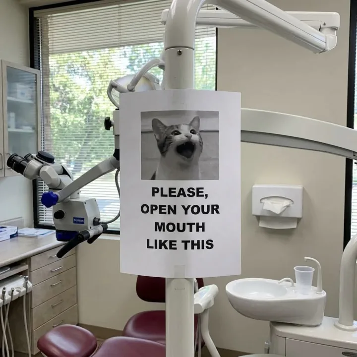 1 please, open your mouth like this