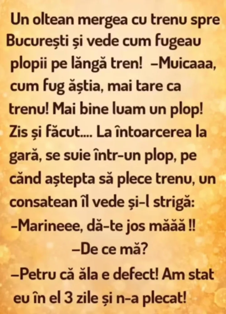 Un oltean mergea CU trenu spre Bucuresti si vede cum fugeau plopii pe langa tren! -Muicaaa,...