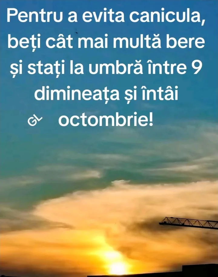 Pentru a evita canicula, beti cat mai multa bere si stati la umbra intre 9 dimineata si int...