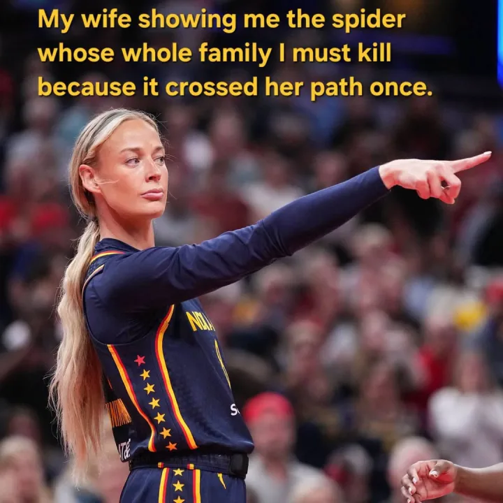 My wife showing me the spider whose whole family I must kill because it crossed her path on...